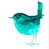 lolafreebird lolafreebird